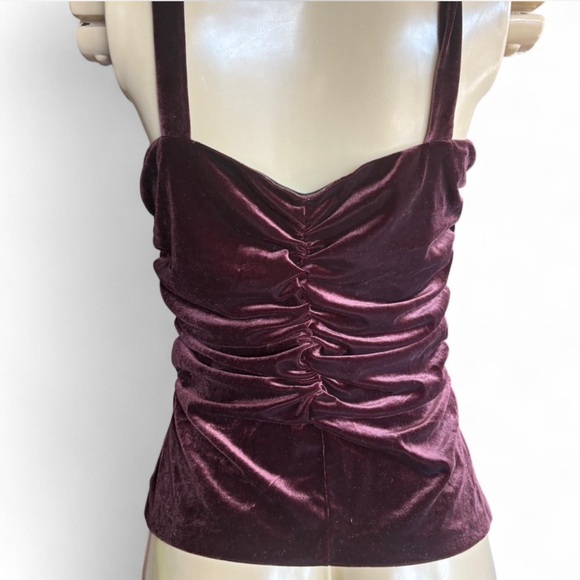 Elegant Velvet Ruched top - Picture 4 of 14